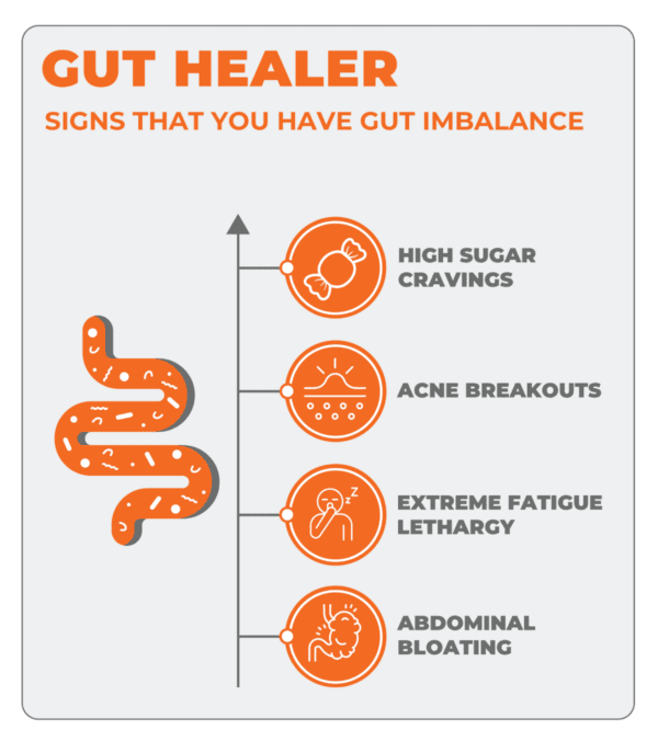 Gut Healer - Image 6