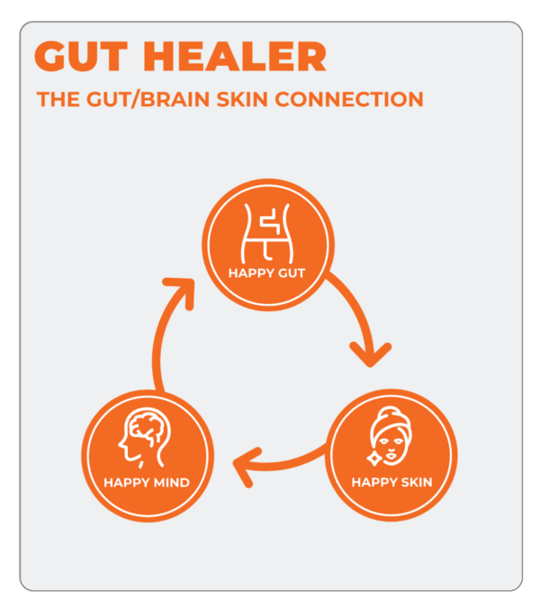 Gut Healer - Image 9