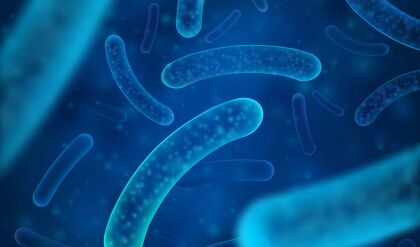 Micro bacterium and therapeutic bacteria organisms. Microscopic salmonella, lactobacillus or acidophilus organism. Abstract biological vector background