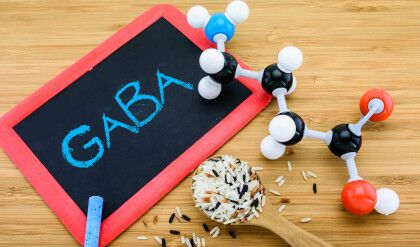 Gaba,Molecule,Is,Important,Neurotransmitter,In,The,Mammalian,Central,Nervous