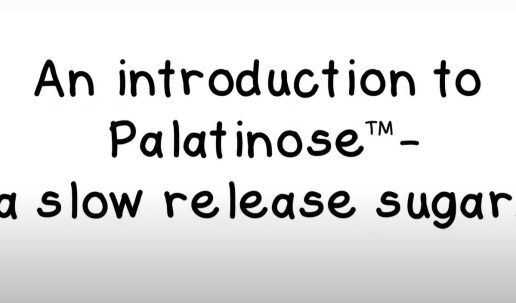 Palatinose - An Introduction to Palatinose