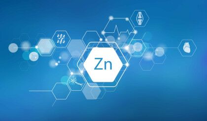 Zinc.,Scientific,Medical,Research,,The,Effect,On,Human,Health.,The